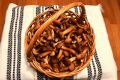 Как заготовить опята: 2 рецепта, по которым можно сделать вкусные маринованные грибы
