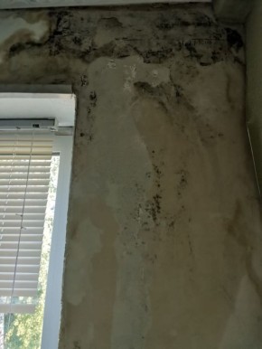 Жители дома 14 на улице Пионерской в Октябрьске пожаловались на многолетнюю протечку