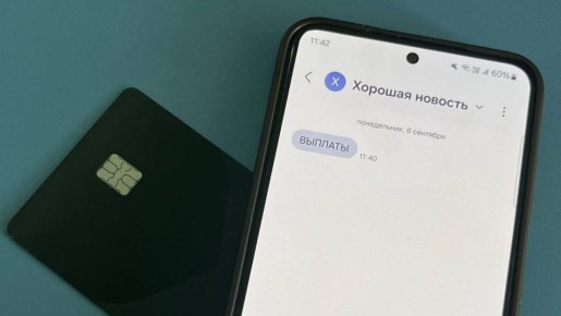 Самарцам рассказали, как защитить свой аккаунт в «Госуслугах» от мошенников
