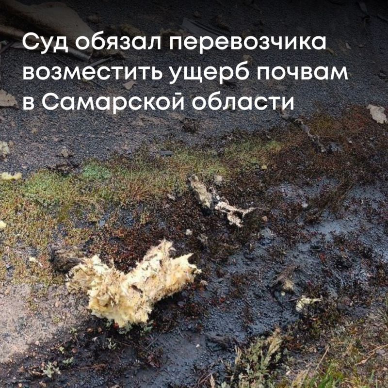 Суды трех инстанций поддержали требования Росприроднадзора к ООО «СпецТрансАвто» о возмещении более 2,7 млн рублей вреда, причиненного почвам в результате разлива нефтепродуктов