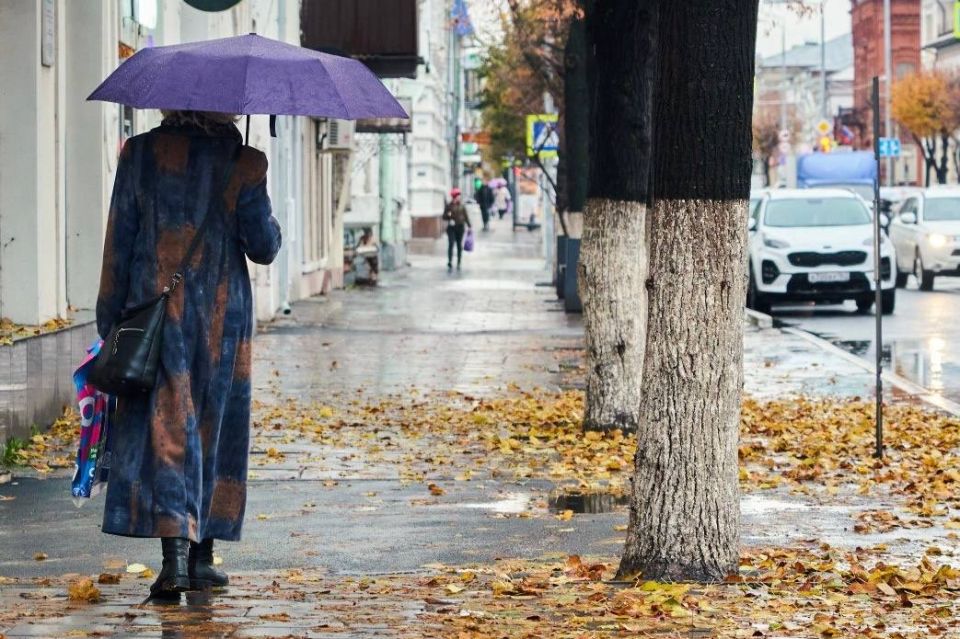 Запасаемся терпением. Дожди продлятся до конца рабочей недели