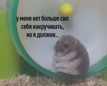Музыкальный фитнес-фестиваль «Накрути себя» пройдет в Самаре