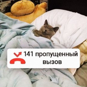 В Госдуме разрешили не отвечать на рабочие звонки после работы