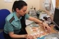 Увеличение исполнительского сбора: что ждет должников в 2025 году