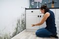 Почему плесень в доме – это не просто эстетическая проблема: полезные советы по борьбе с грибком