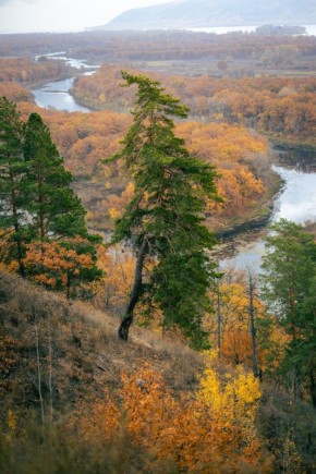 Доброго утра, дорогие друзья