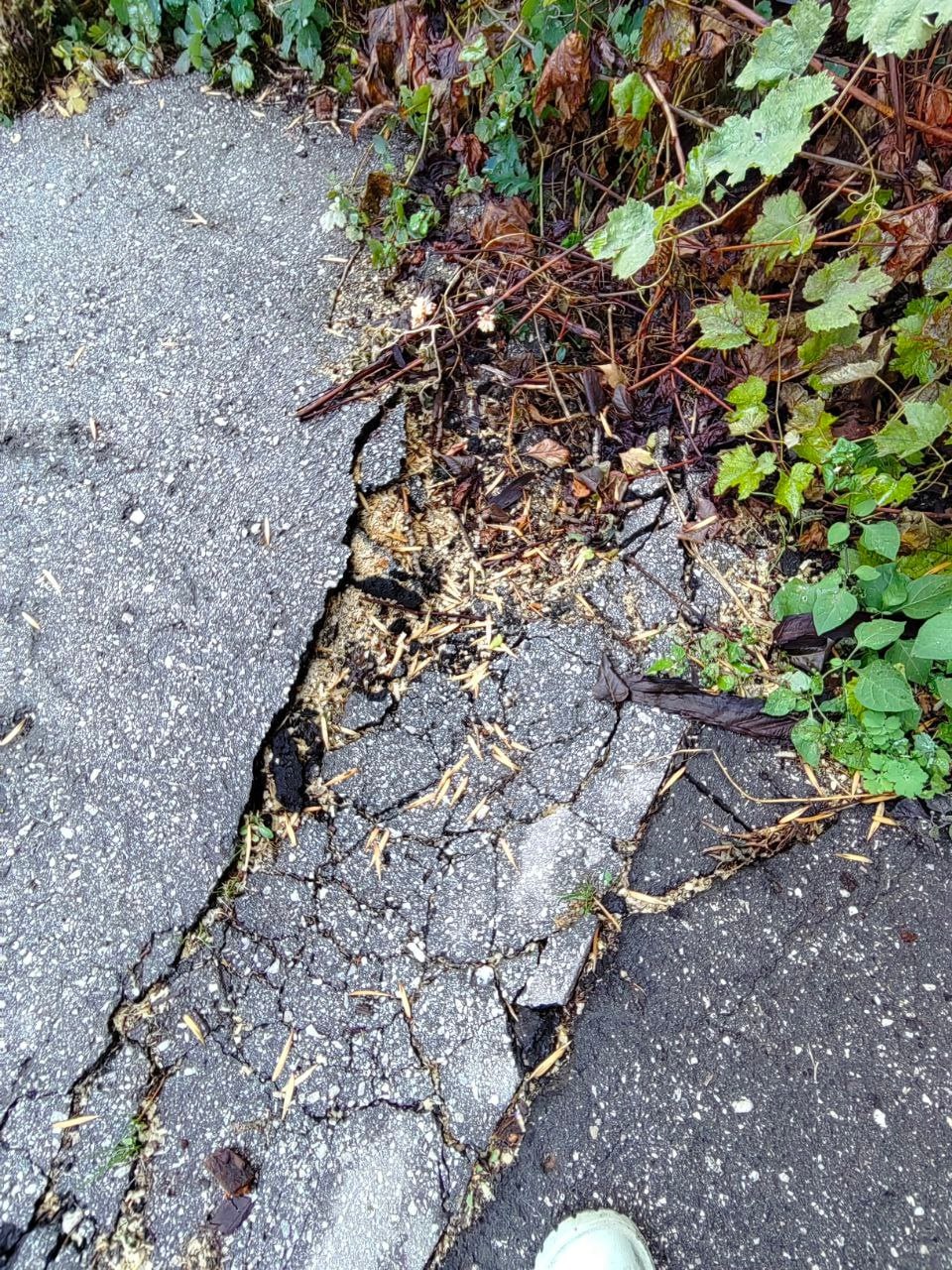 Во дворе дома №45 по улице Степана Разина уже больше месяца не убирают последствия спила дерева Во дворе дома №45 по улице Степана Разина уже больше месяца не убирают последствия спила дерева