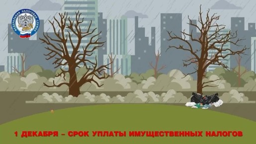 Крайний срок уплаты налогов: 1 декабря!