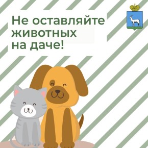 Не оставляйте животных на даче