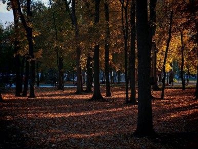 Доброе утро, Самара!. Удачных дел и отличного настроения! :романтика самарских дворов и улиц