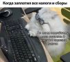 Списывать налоговые долги с банковских карт у россиян без суда начнут уже с 1 ноября