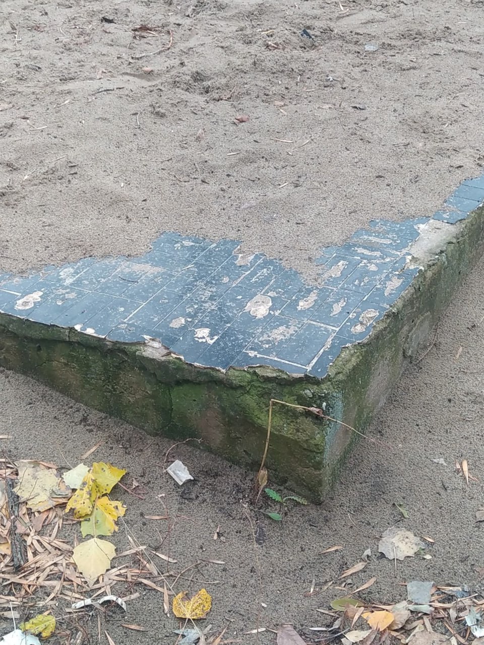 Жители домов по адресу Тополей, 3 и 5 жалуются на отсутствие благоустройства дворовой территории Жители домов по адресу Тополей, 3 и 5 жалуются на отсутствие благоустройства дворовой территории
