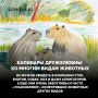 А вы знаете, что?... #сг_интересный_факт