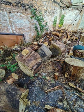 Во дворе дома №45 по улице Степана Разина уже больше месяца не убирают последствия спила дерева