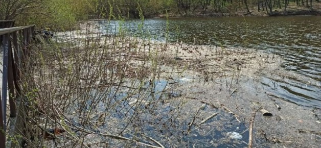 Попутали берега: самарцы захватили более гектара акватории озера