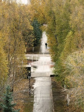 Иван Носков: Кстати, в парке Победы сегодня проверил выполнение благоустройства