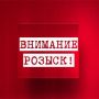 26.10.2025 в 19-20 на автодороге "Самара-Волгоград-Томылово" произошло ДТП с участием автомобиля Лада Приора и неустановленного пешехода-мужчины
