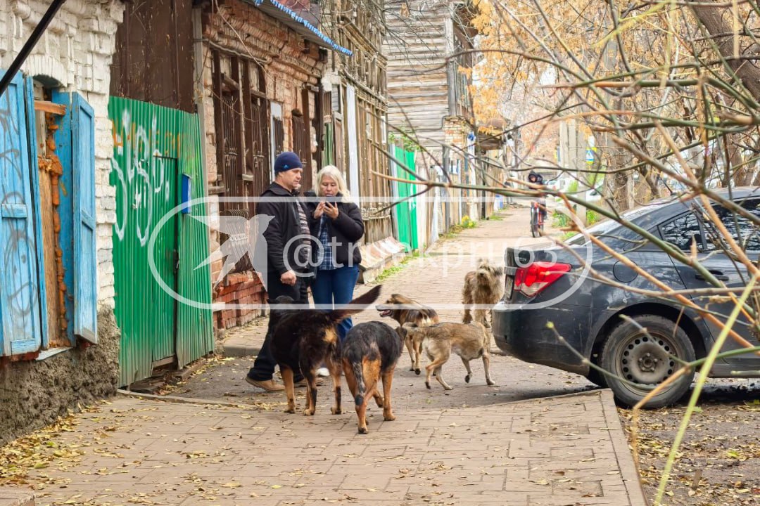 У дома известного на всю Самару дяди Вовы переполох!