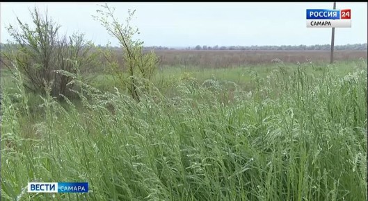 Государственное бюджетное учреждение «Крематорий» появится в Самарской области до 1 января 2026 года