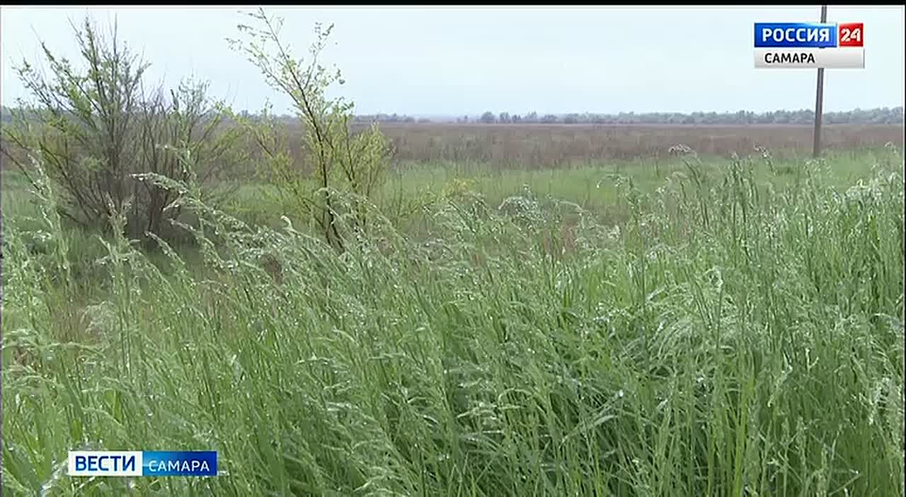 Государственное бюджетное учреждение «Крематорий» появится в Самарской области до 1 января 2026 года