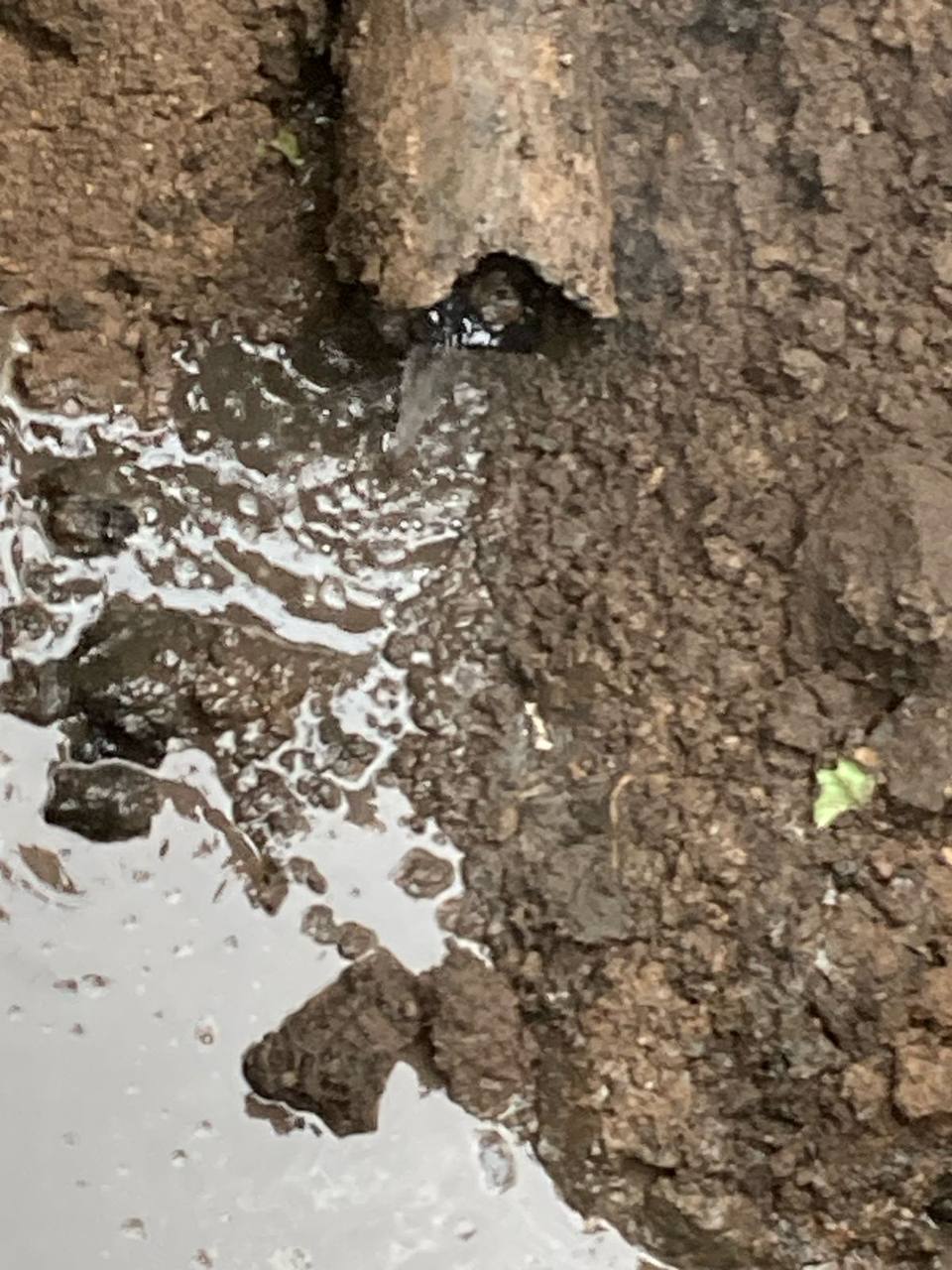 Жители Самары пожаловались на состояние канализационных труб во дворе по адресу Комсомольская, 40 Жители Самары пожаловались на состояние канализационных труб во дворе по адресу Комсомольская, 40