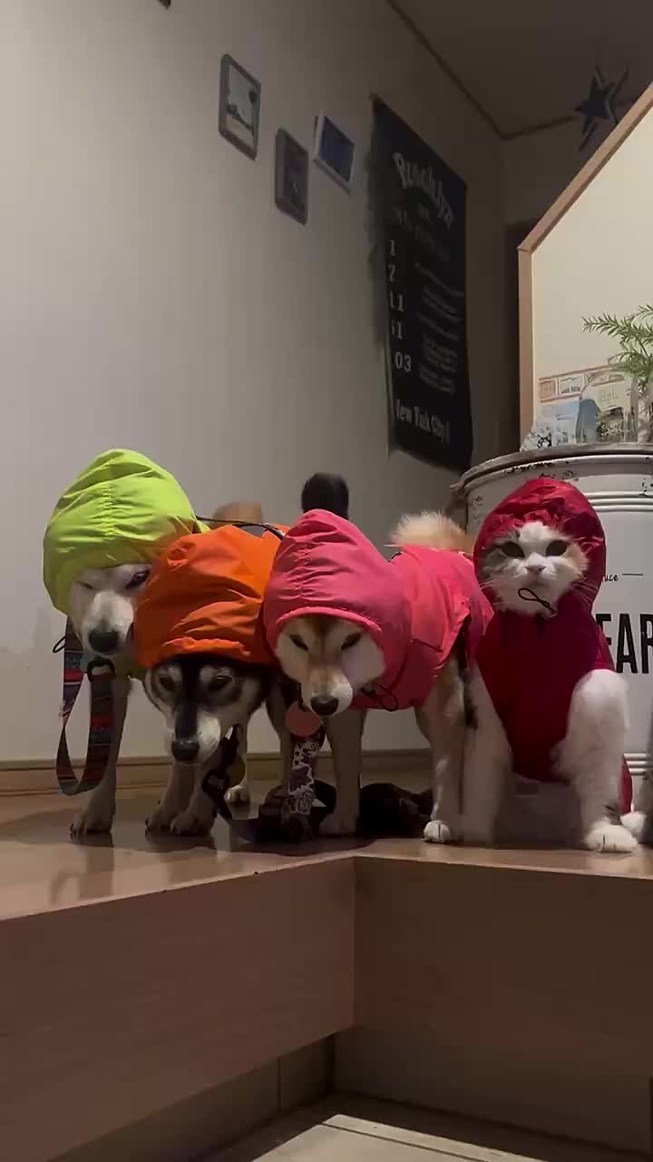 Доброе утро, друзья!. Вот это поворот! Сегодня у нас будет облачно с прояснениями, ожидается небольшой, местами умеренный дождь, утром туман