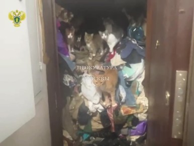 В Москве жильцы дома на ул. 5-я Кожуховская пожаловались на соседку-плюшкина