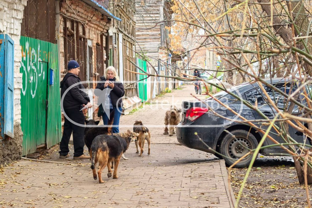 У дома известного на всю Самару дяди Вовы переполох! У дома известного на всю Самару дяди Вовы переполох!