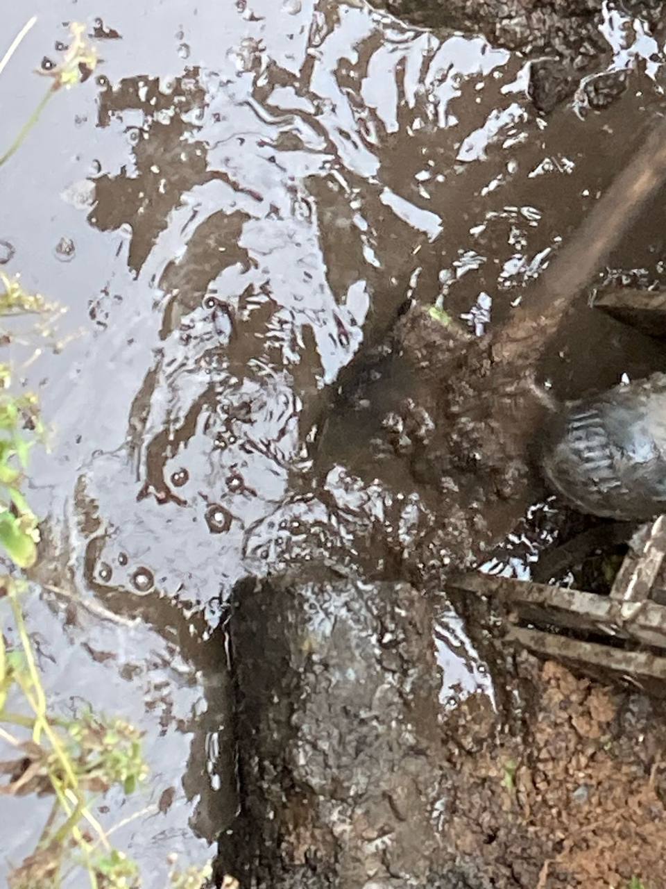 Жители Самары пожаловались на состояние канализационных труб во дворе по адресу Комсомольская, 40