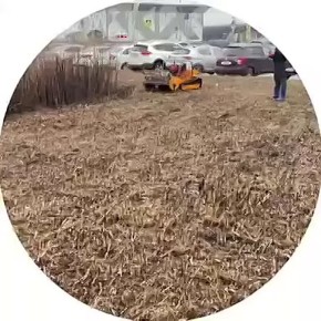 В Самаре испытывают новую спецтехнику для содержания газонов