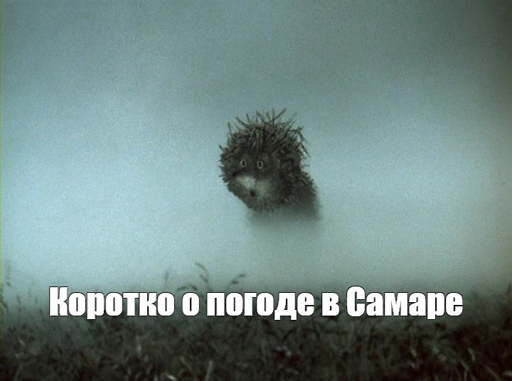 Ну вы поняли, какая погода ждет нас в ночь и утром 31 октября