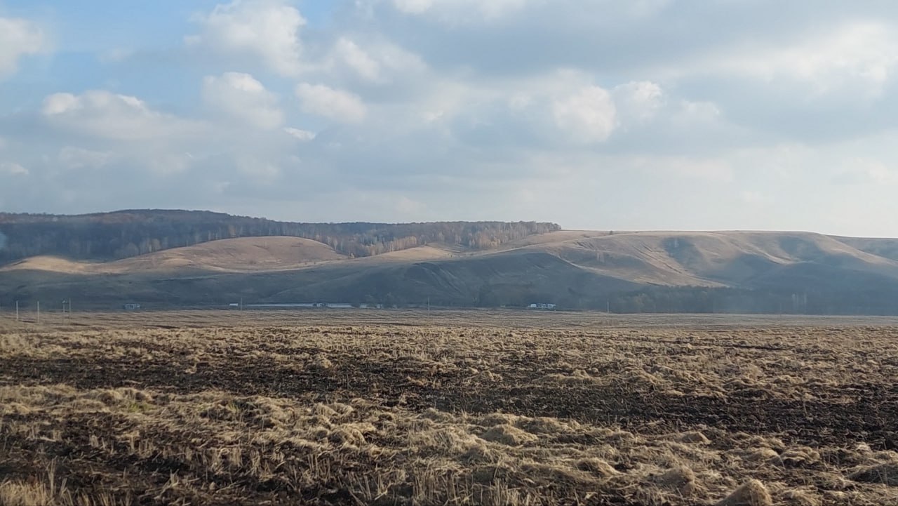 123В самарском регионе прошёл первый молодёжный форум «Агродвиж»