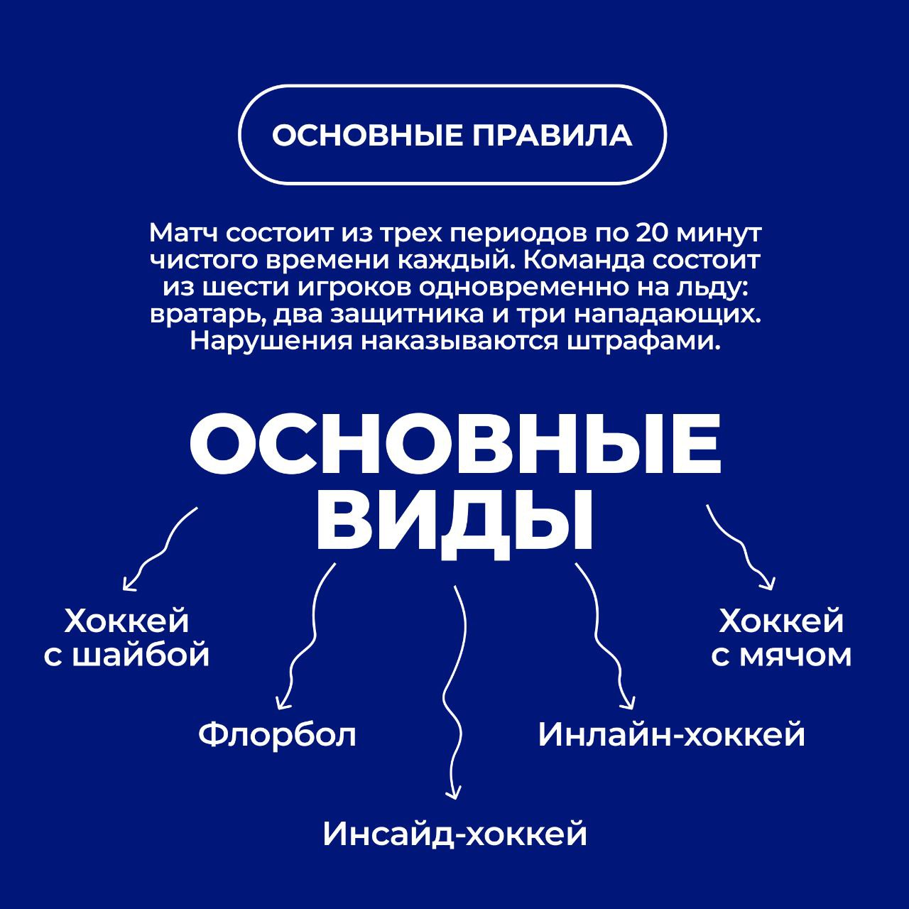 Хоккей - наш национальный вид спорта! Хоккей - наш национальный вид спорта!