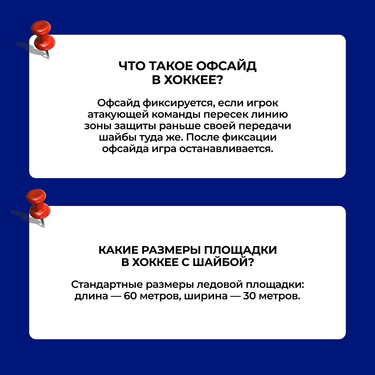 Хоккей - наш национальный вид спорта! Хоккей - наш национальный вид спорта!