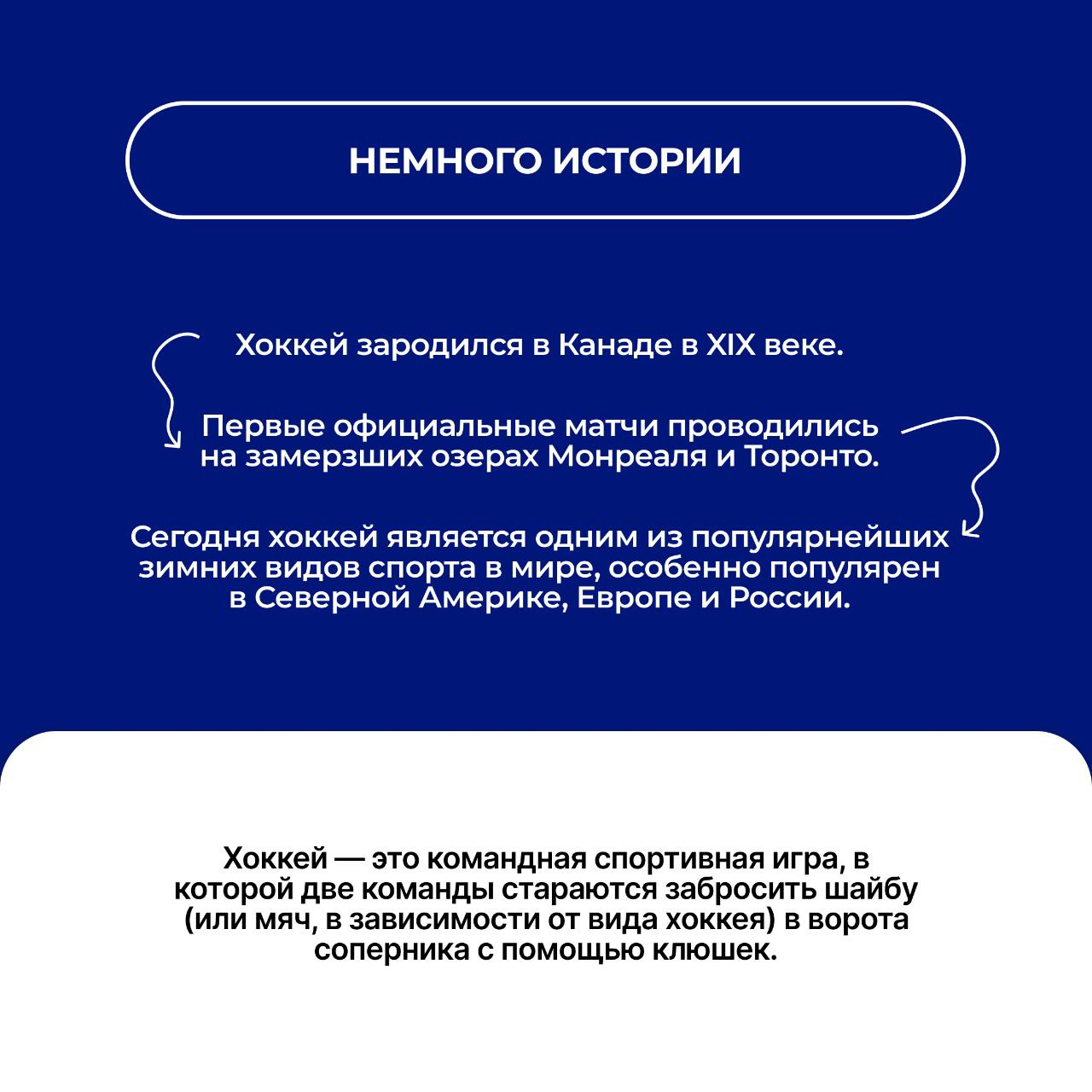 Хоккей - наш национальный вид спорта! Хоккей - наш национальный вид спорта!