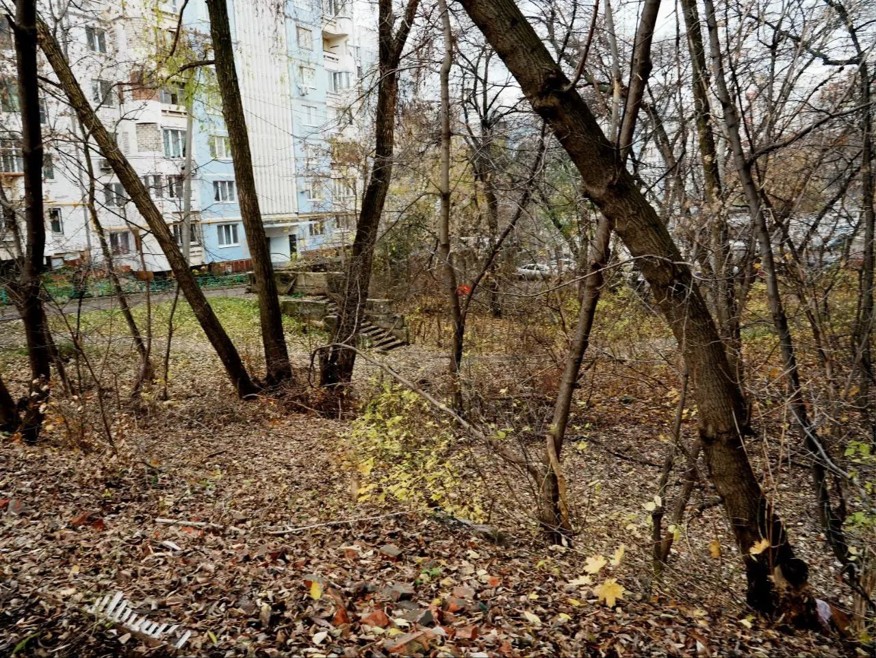 Овраг очистят в Промышленном районе Самары