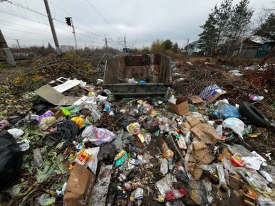 Жители поселка Кряж Куйбышевского района жалуются на горы мусора «Службы поставили только один захудалый контейнер на жителей нескольких больших улиц. В итоге очищают только контейнер, а всё, что лежит рядом, уже будто...