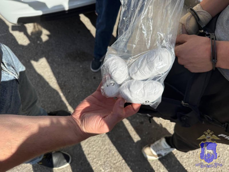 В Тольятти полицейские задержали подозреваемого в покушении на сбыт наркотиков в крупном размере