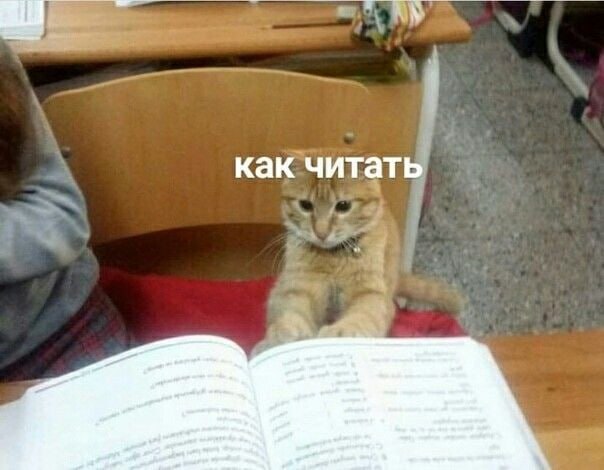 Школы в России готовы перейти на 12-летнее школьное обучение