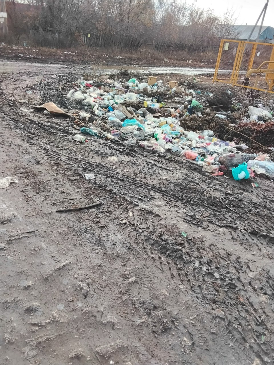Жители посёлка Владимирский (г. Чапаевск) сообщают о проблеме с несанкционированным размещением бытовых отходов Жители посёлка Владимирский (г. Чапаевск) сообщают о проблеме с несанкционированным размещением бытовых отходов