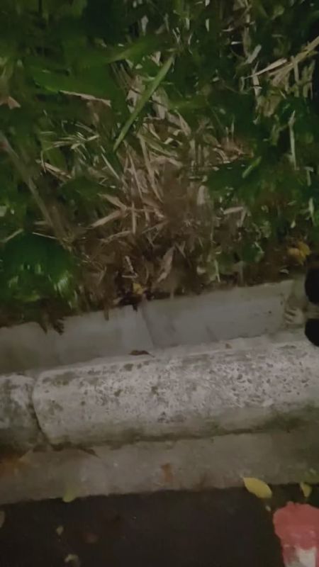   !.        ,            ,     