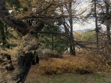  !. 3     +2...+4 C      ,  