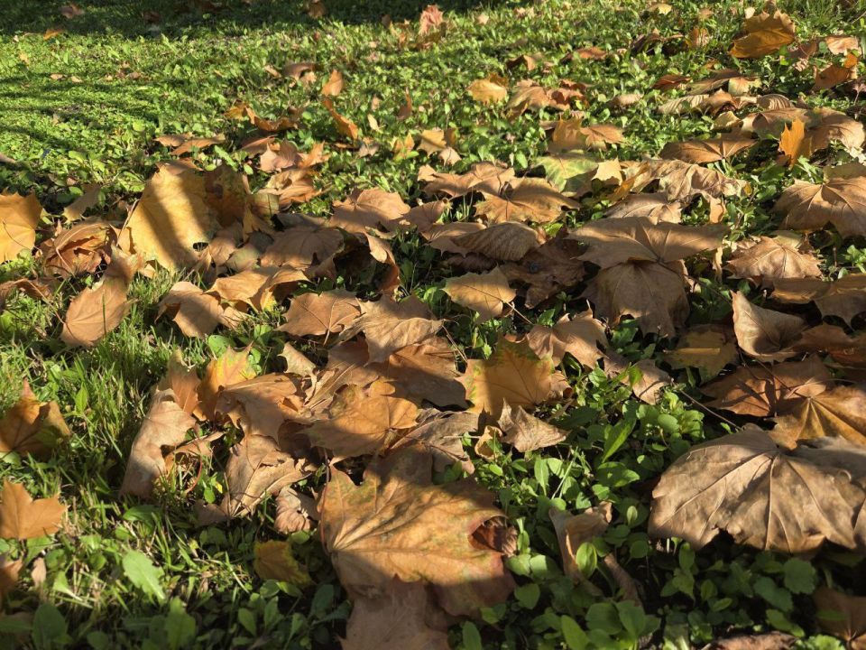 Понедельник день тяжёлый. Но это точно не про сегодня