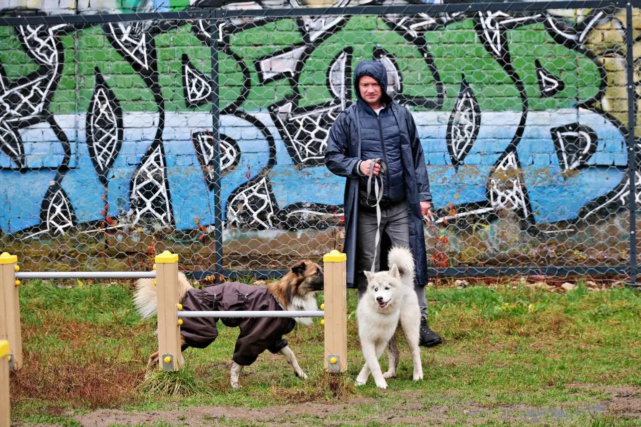 Наш фотограф заглянул на площадку для собак на 5-й просеке, 6б Наш фотограф заглянул на площадку для собак на 5-й просеке, 6б