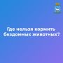 В Самарской области обновился перечень мест, где запрещено кормить бездомных животных