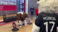 На стенде тяжелой атлетики свои силы проверить решили не только любители и профессиональные спортсмены