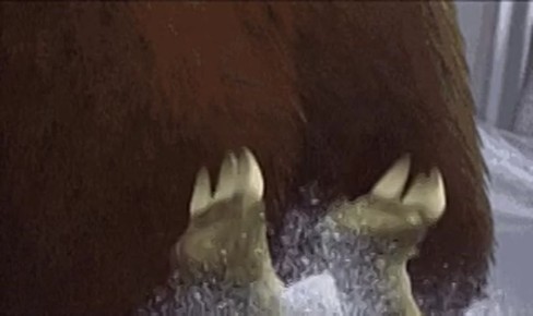 Метеочувствительные, у нас большие проблемы! Очень большие