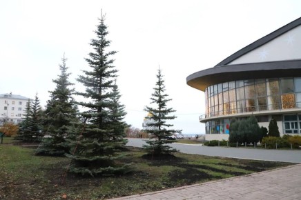 В Самаре завершается сезон озеленения улиц и общественных пространств