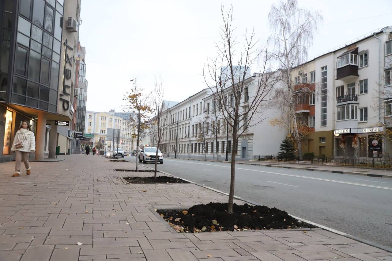 В Самаре завершается сезон озеленения улиц и общественных пространств В Самаре завершается сезон озеленения улиц и общественных пространств