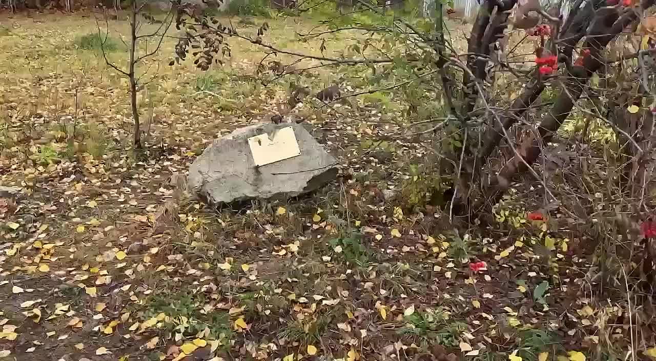 Теперь точно уволен. Глава Кинельского района Жидков сам ушел с поста после скандала с губернатором